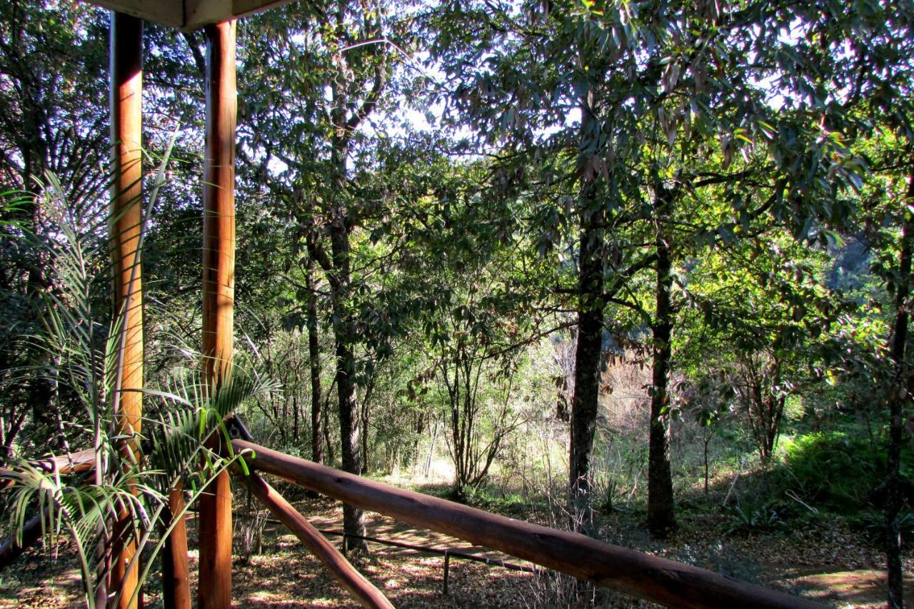 Old Pine Cabin Karkloof Yarrow Exteriör bild